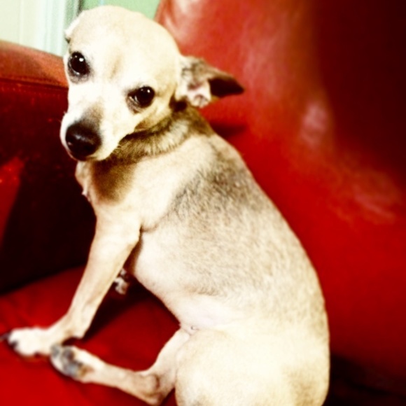 Meet your Posher, Angela - Picture 2 of 3